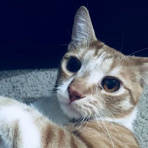 Meet your Posher, Jacob